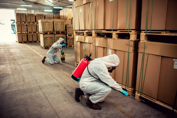 Professional Pest Control in Oradell, NJ