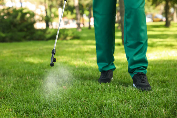 Bird Control in Oradell, NJ