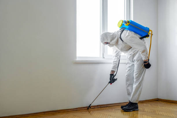 Best Emergency Pest Control  in Oradell, NJ